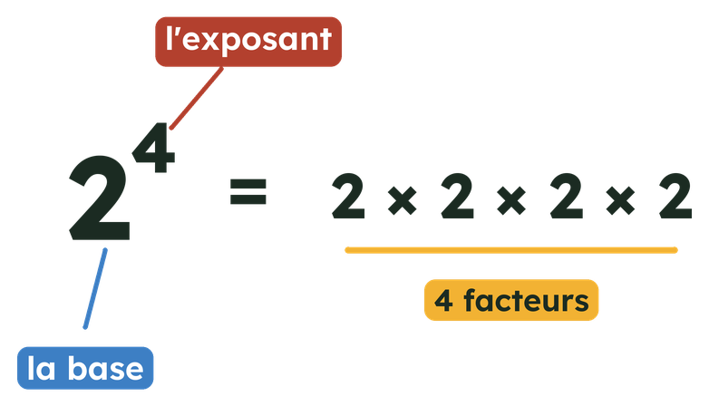 2 exposant 4 égale 2 fois 2 fois 2 fois 2 : 2 est la base, 4 est l'exposant.