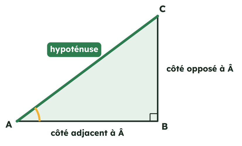 Triangle ABC rectangle en B : AC est l'hypoténuse, AB le côté adjacent à l'angle Â et BC le côté opposé à l'angle Â.